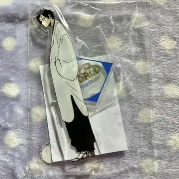 BLEACH WORLD 아크릴 스탠드 아카치