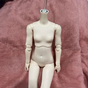 AZONE 아존 AZT8-45 바디 슈퍼 화이티 MDD