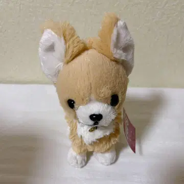 미사용 새상품 레몬 파프스! 봉제 인형 S 치와와 BE