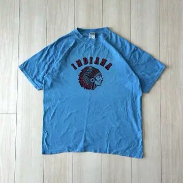 레어 00s Anvil INDIANA 인디언 티셔츠 M 블루