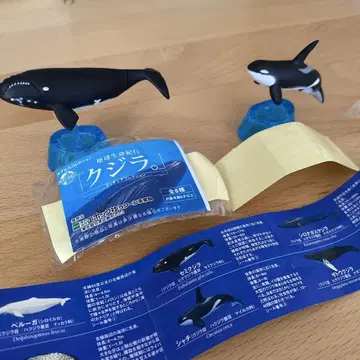 고래와 범고래 피규어 컬렉션