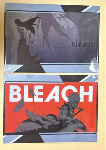 BLEACH 쿠로사키 이치고 클리어 파일 2종 텐보 파크