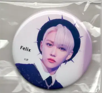스트레이키즈 2022 MANIAC in JAPAN FELIX 캔 배지