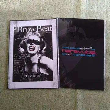 The Brow Beat 2021 팜플렛