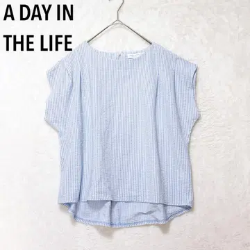 A DAY IN THE LIFE 프렌치 슬리브 블라우스 셔츠 체크