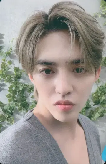 세븐틴 TowerRecords S.COUPS 소비기한