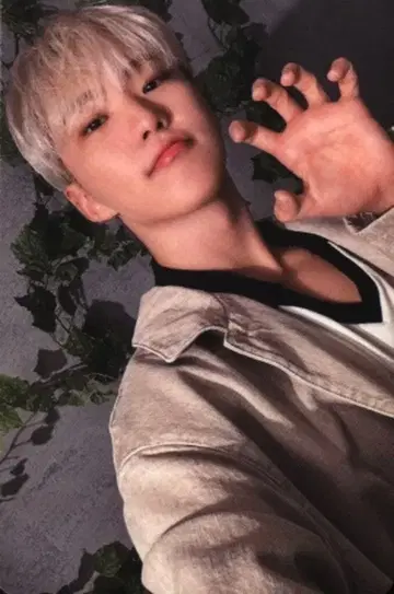 SEVENTEEN 초회 한정판 B HOSHI 소비기한 셀카