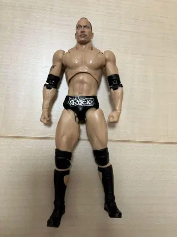 S.H.Figuarts WWE 더 락