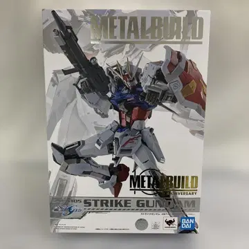 METAL BUILD 스트라이크 건담 METAL BUILD 10th