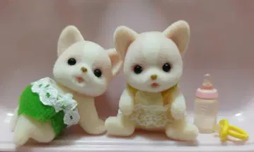 실바니아 치와와 쌍둥이