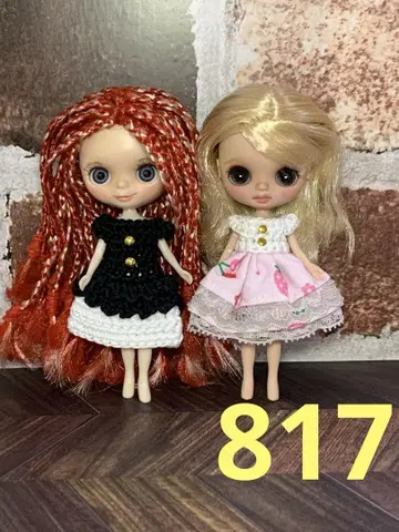 817. 미니 브라이스 사이즈 아웃핏