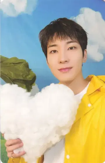 SEVENTEEN HEAVEN WONWOO 트레이딩 카드 CARAT