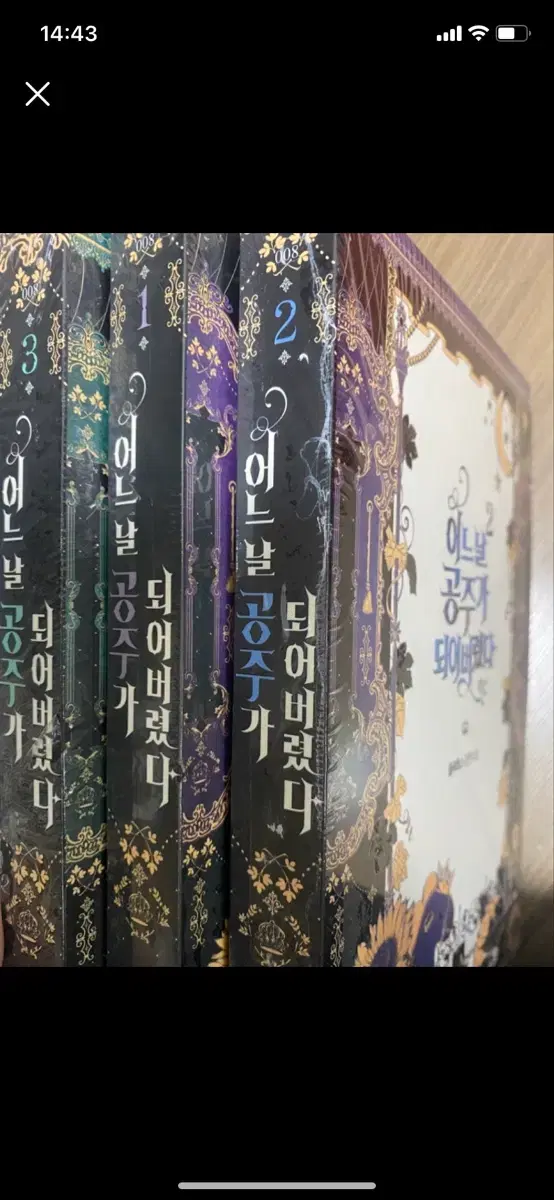어느날공주가되어버렸다 소설 전권