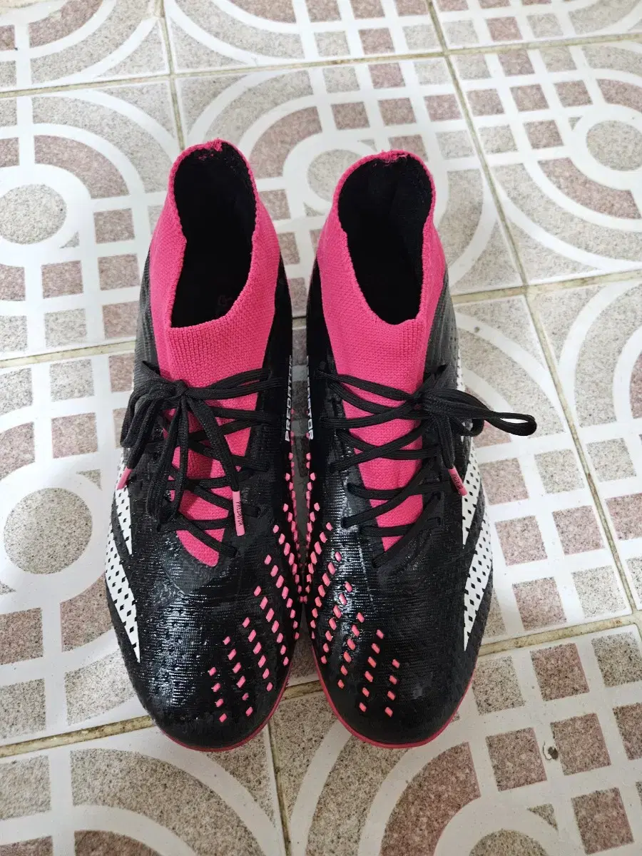Adidas Predator Accuracy.1 Futsal Shoes