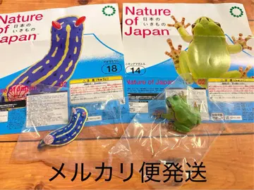 Nature of Japan 일본의 생물 2 일본 청개구리 아오우미우시