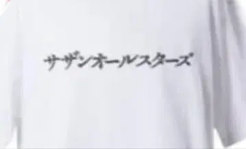 사잔 올스타즈 45주년 카이가사키 라이브