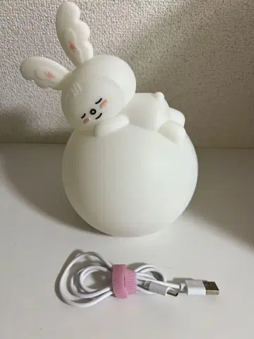 SEVENTEEN 정한 트램 라이트