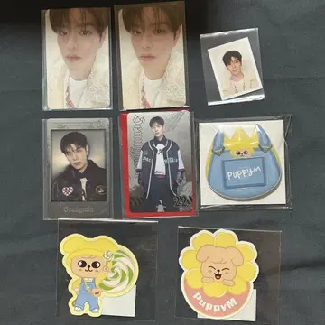 straykids PuppyM 퍼핌 Seungmin 승민
