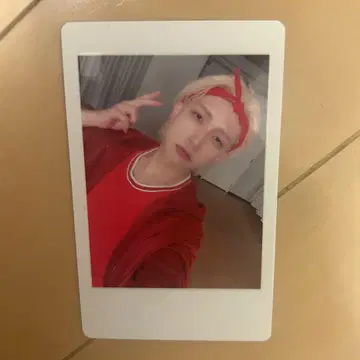 팬더 드래곤 파라곤 하피카 요타