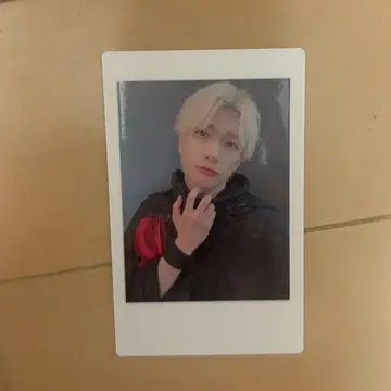 팬더 드래곤 파라곤 하피카 요타