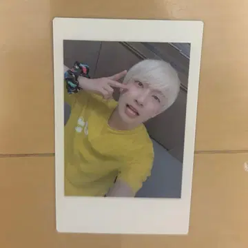 팬더 드래곤 파라곤 하피카 요타