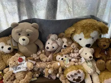 곰 봉제 인형 세트