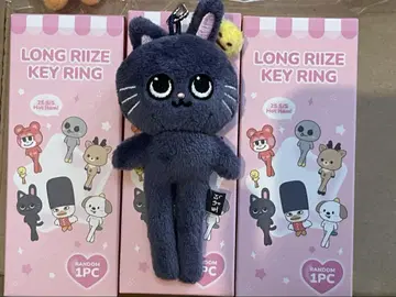 원빈 LITTLE RIIZE KEY RING 발길이 인형
