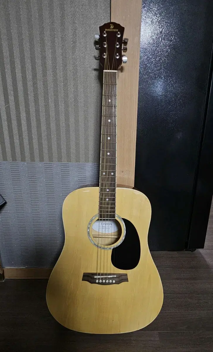 Dynatone Dahlia 301 Acoustic Guitar