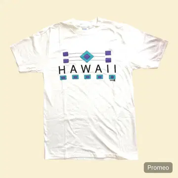 90'~ FRESH PRODUCE HAWAII 하와이 티셔츠 M