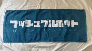 푸시 풀 포트 타월