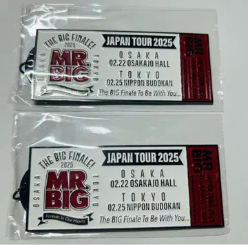 MR.BIG 메탈 키링 2개 세트