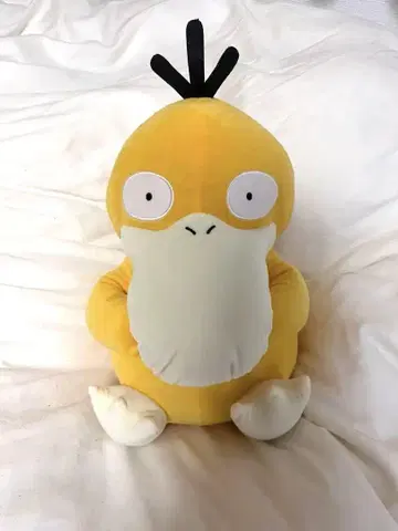 [택 포함] 코닥 메카모후구토 봉제 인형 시리즈