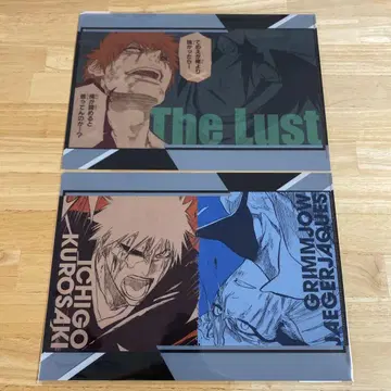 BLEACH THE LOCUS OF BRAVE 클리어 파일 2개