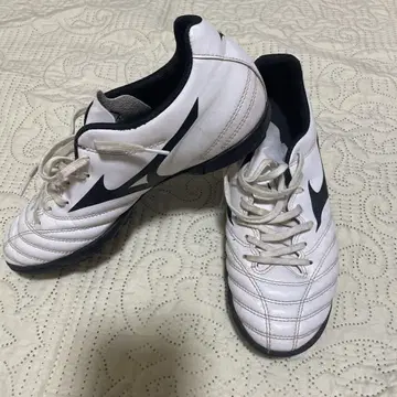Mizuno 축구 트레이닝화 25cm 모나르시다 네오