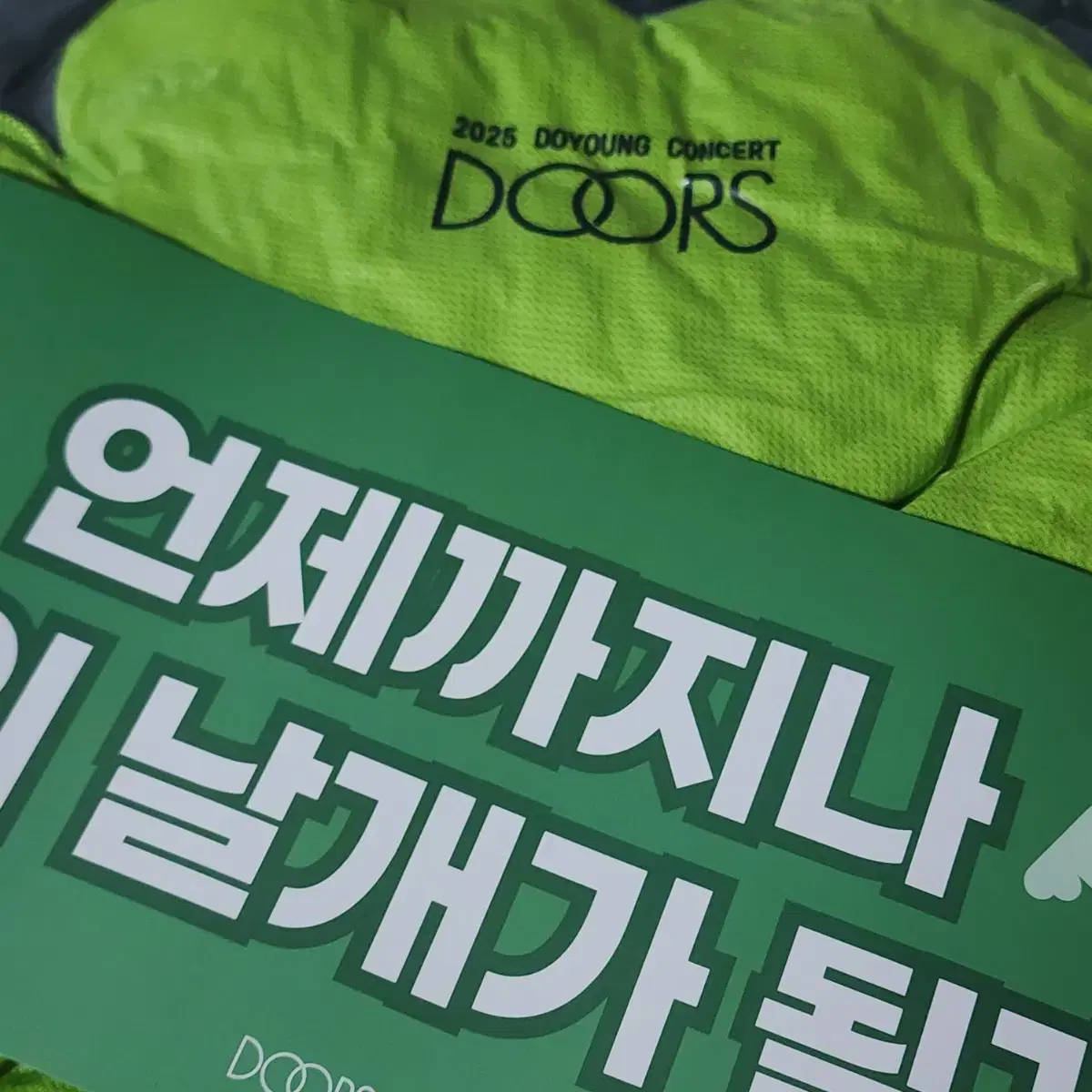 Doyoung Doors solo concert four-leaf clover cushion sealed