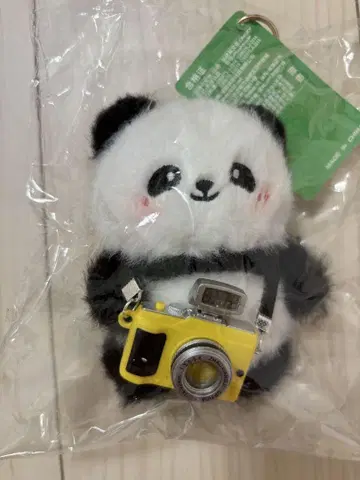 팬더 봉제 인형 카메라 포함 새상품