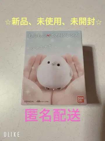 모후모후테노리 프렌즈 시마연가