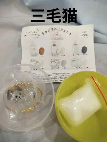 우리 집 고양이 케다마다마 (삼색 고양이)