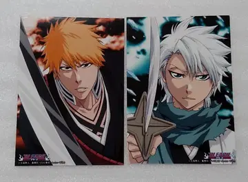 쿠로사키 이치고, 히즈카야 토시로 엔스카이 브로마이드 블리치 BLEACH
