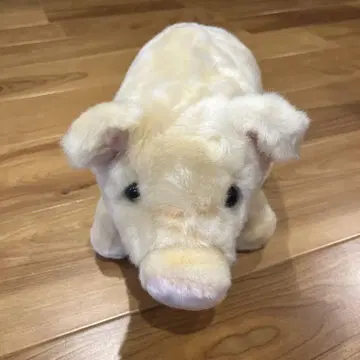 돼지 봉제 인형