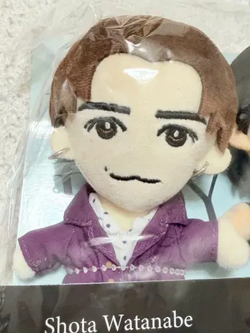 도리보 DREAM BOYS 와타나베 쇼타 2023 봉제 인형