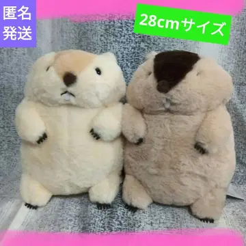 마모트의 모토토 JB 봉제 인형