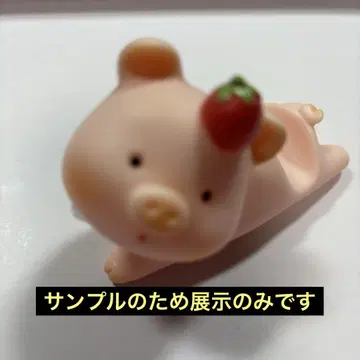 샘플용