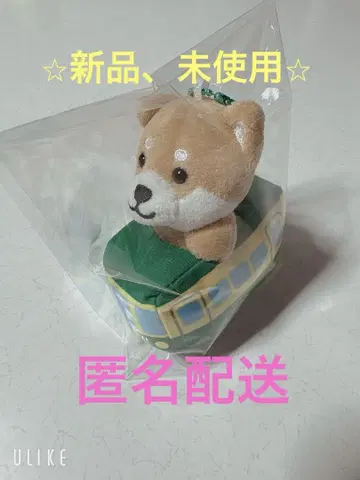 여행하는 콩소바 에노덴