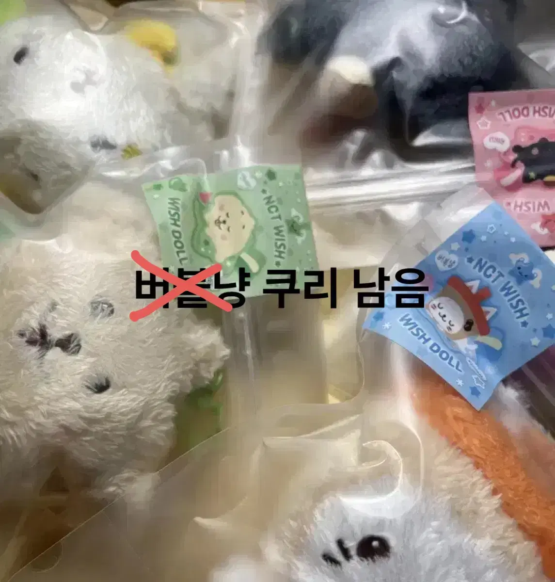 엔시티 위시 위시돌 현물 댕트리버 룐룐 버블냥 시오닝 쿠리 팡이 판매