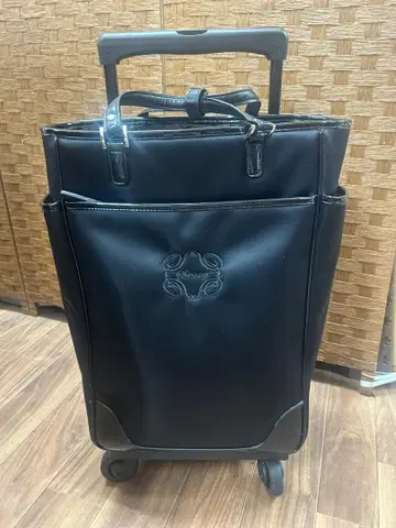 SWANY 스와니 캐리어 가방 카트 분리 가능