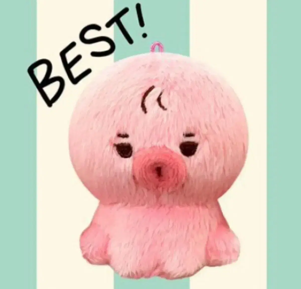 The Boyz Sunwoo Tteonko Doll