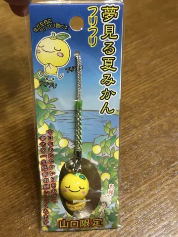 꿈꾸는 여름 귤 스트랩 야마구치 한정판 네츠케 레트로