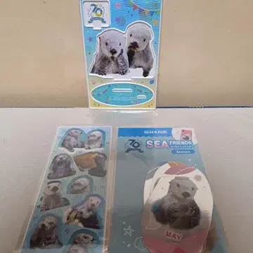 도바 수족관 랏코 키라 메이