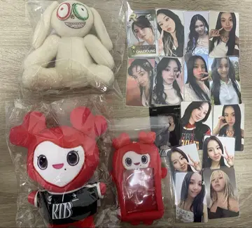 트와이스 채영